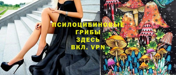 spice Алексеевка