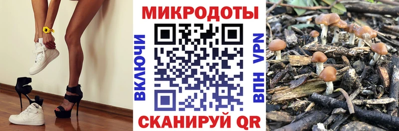 купить   Долинск  Псилоцибиновые грибы Psilocybe 